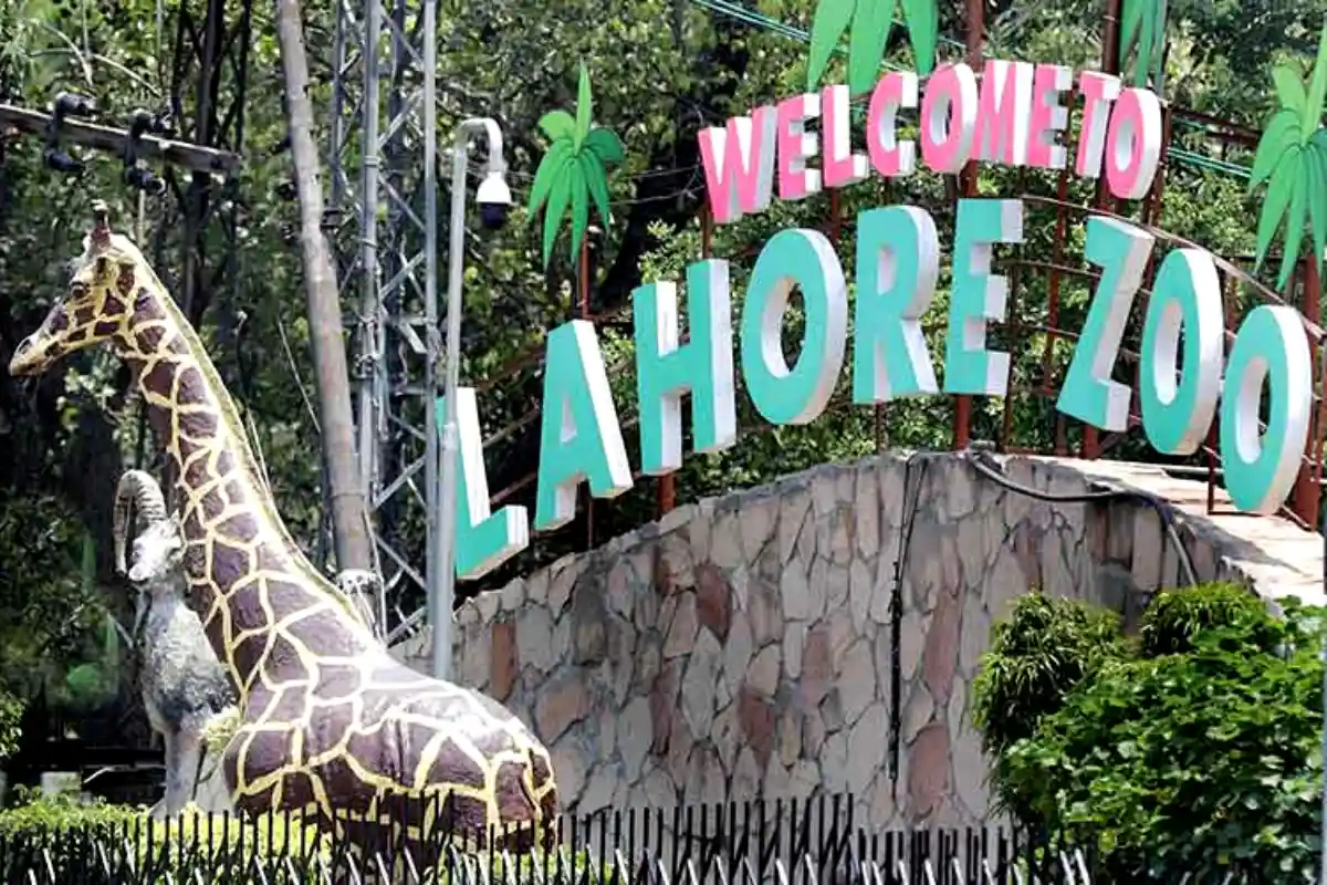 Lahore Zoo to extend visiting hours from February 2026 – check ticket prices