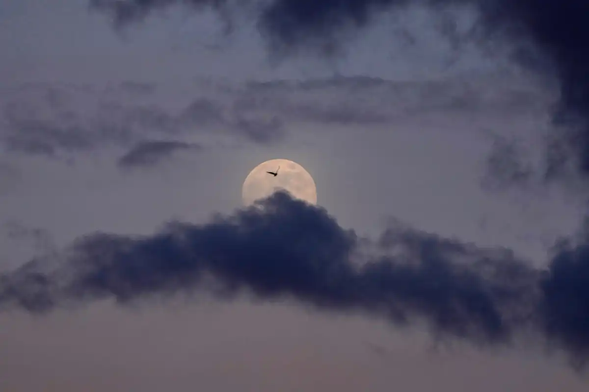 First Supermoon of 2026 Lights Up the Sky Tonight — How to See ‘Wolf Moon’