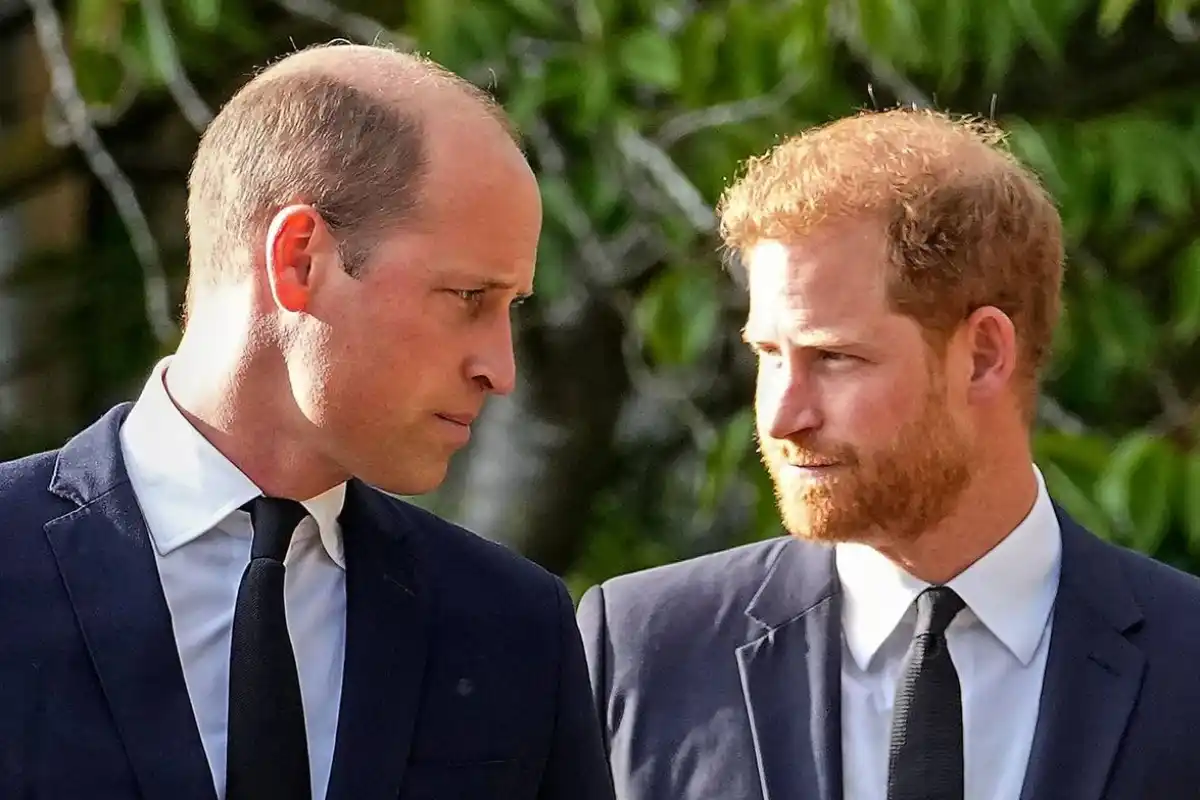 Prince Harry Kept Major Family Secrets From Spare to Protect William and Charles