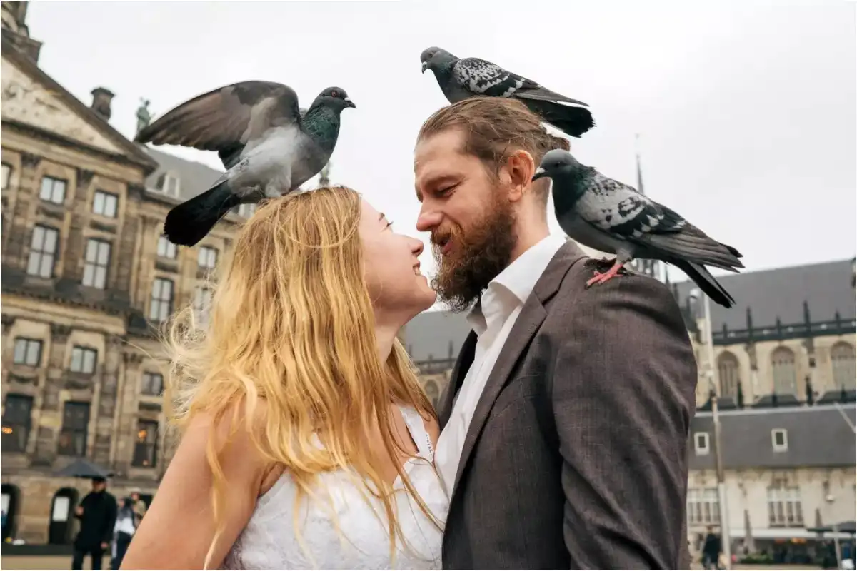 What Is the Viral Bird Theory Test? TikTok Trend Explains