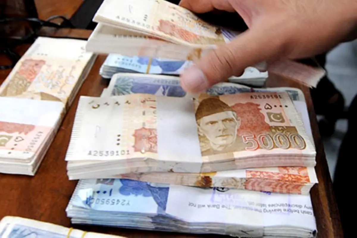 Government loan details