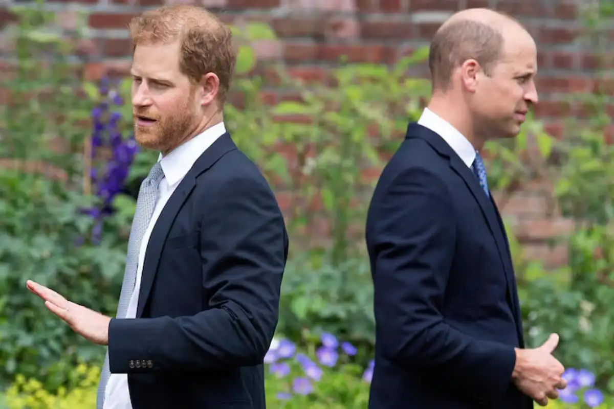 Prince William And Prince Harry’s Rift Reason Revealed