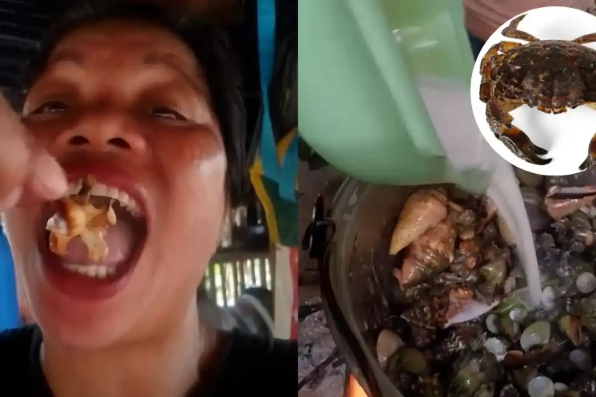 Food Vlogger Emma Amit Dies After Consuming Toxic ‘Devil Crab’ for Social Media Video