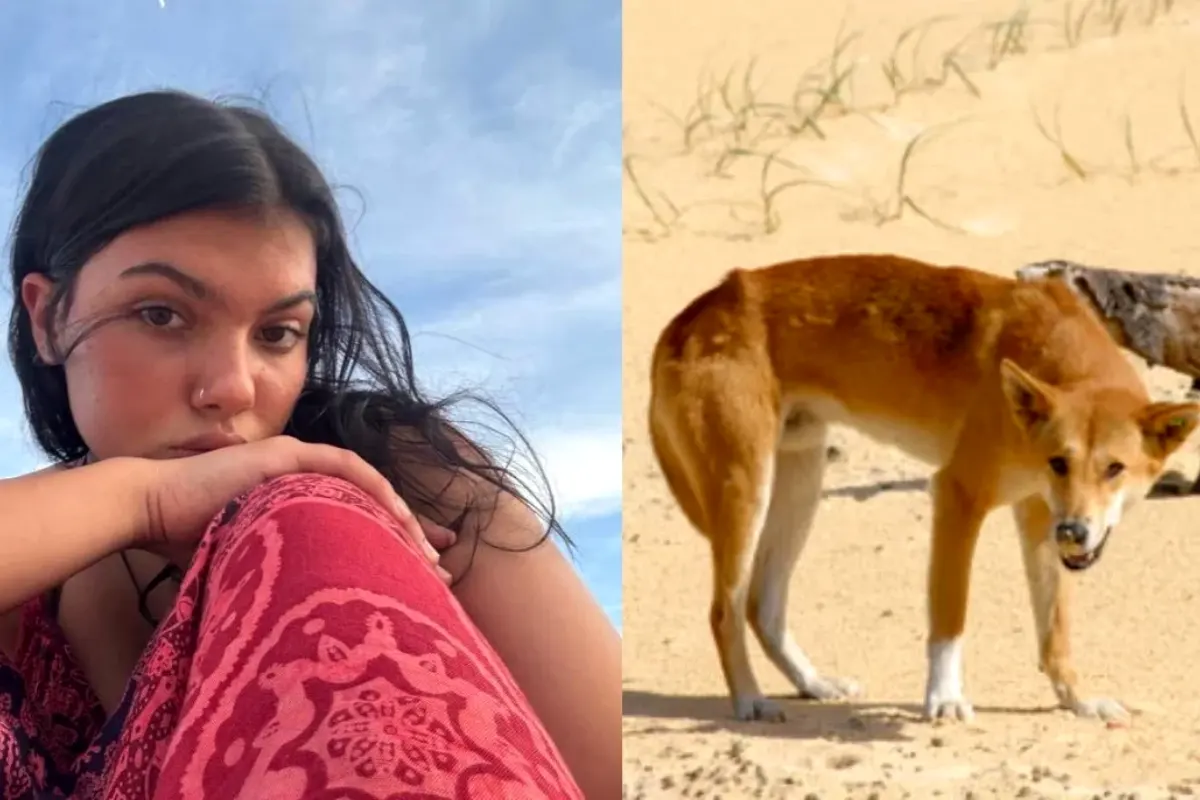 Teen from Canada dies after dingo attack in Australia
