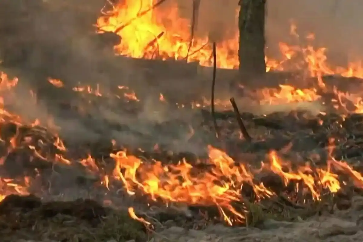 Fire Erupts Again on Margalla Hills in Islamabad