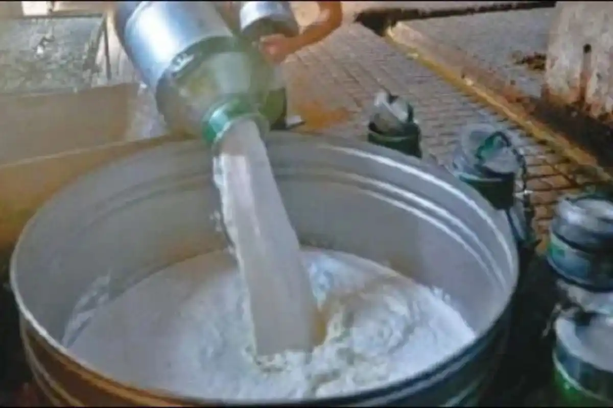 Govt may reduce GST on milk and dairy items to 10%