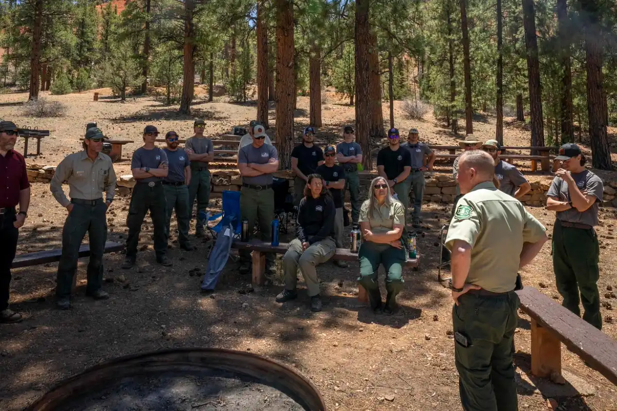 Trump Administration dismantling US Forest Service, Sparks Strong Criticism